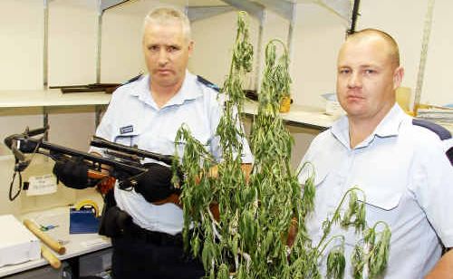 Childers police Senior Constable Frank Lawler with a crossbow seized at Woodgate Beach, and Constable Rory Browne with a mature cannabis plant from a plantation seized at North Gregory. Childers police Senior Constable Frank Lawler with a crossbow seized at Woodgate Beach, and Constable Rory Browne with a mature cannabis plant from a plantation seized at North Gregory.